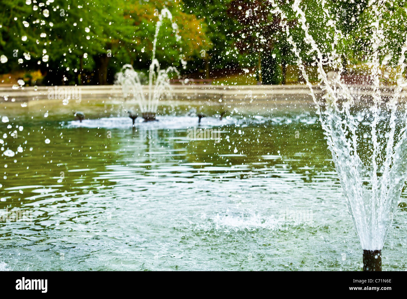Close up of water spraying from a fountain at the Memorial Gardens
