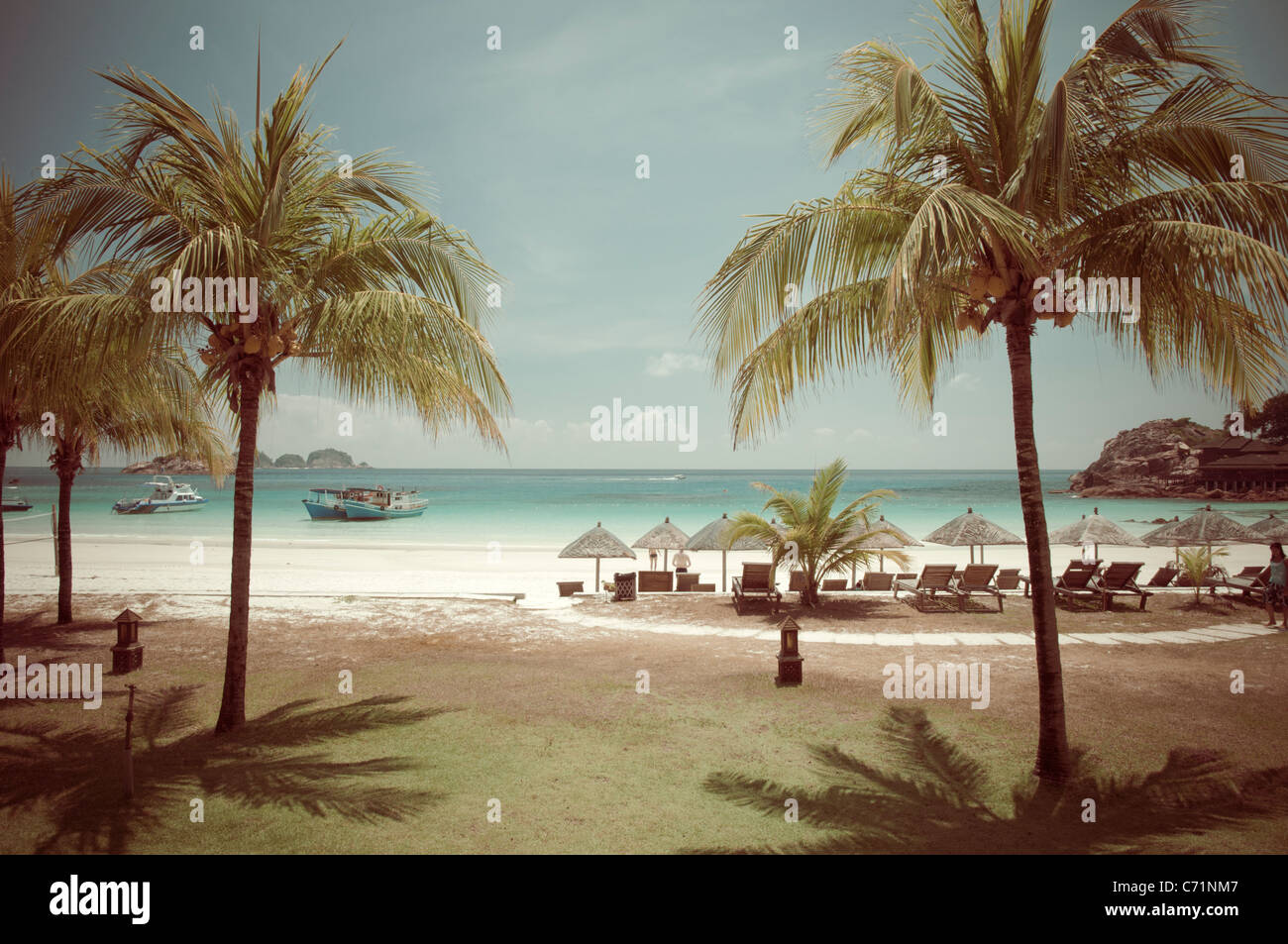 Beach with palm trees, nostalgic look, Pulau Redang Island, Malaysia, Southeast Asia, Asia Stock Photo