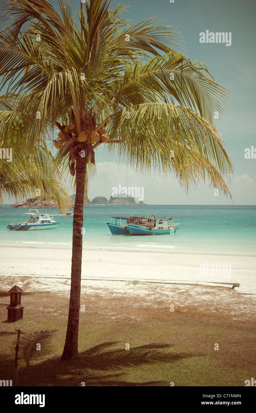 Beach with palm trees, nostalgic look, Pulau Redang Island, Malaysia
