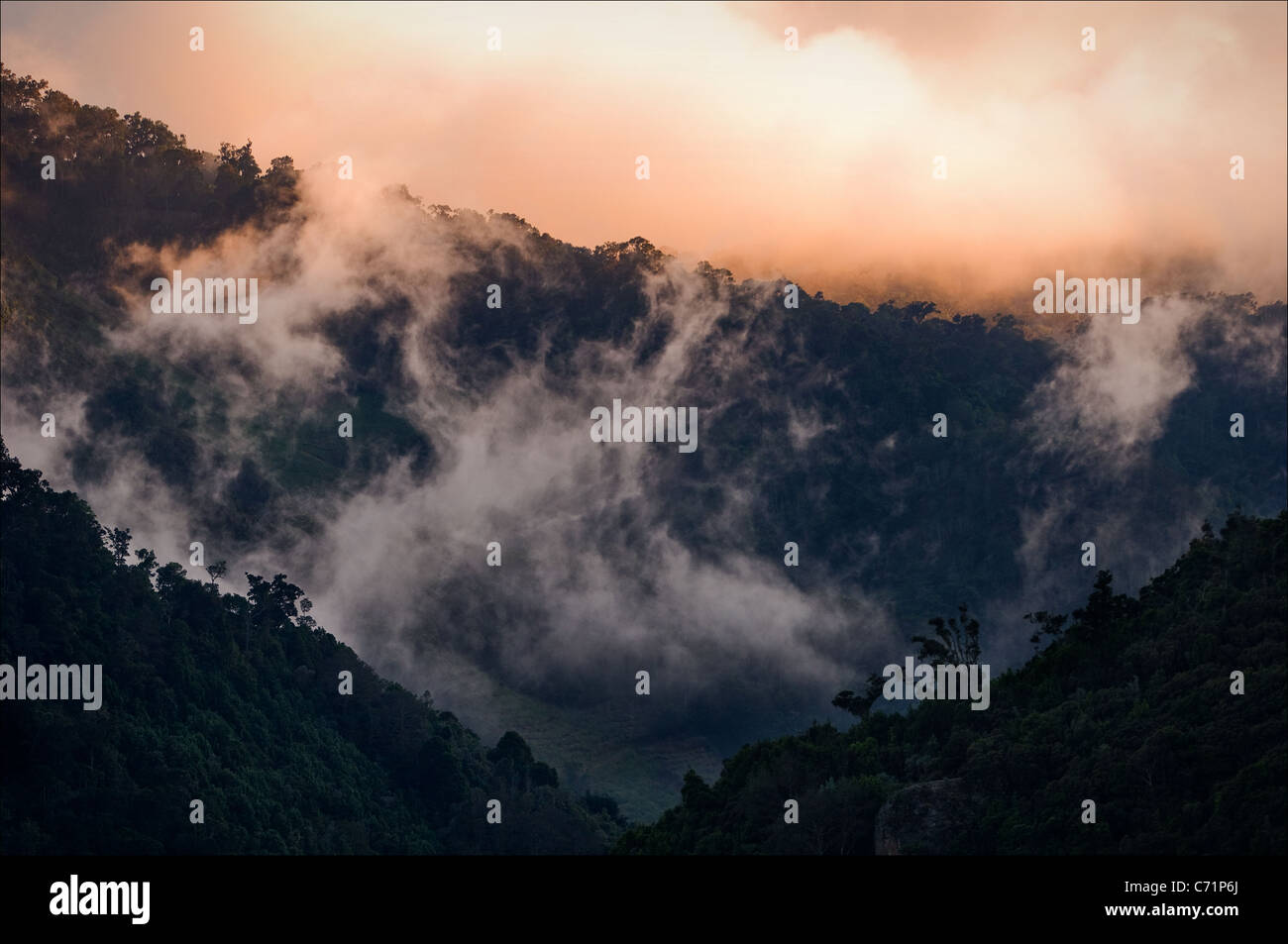 Fog mist sunrise mountain hi-res stock photography and images - Alamy
