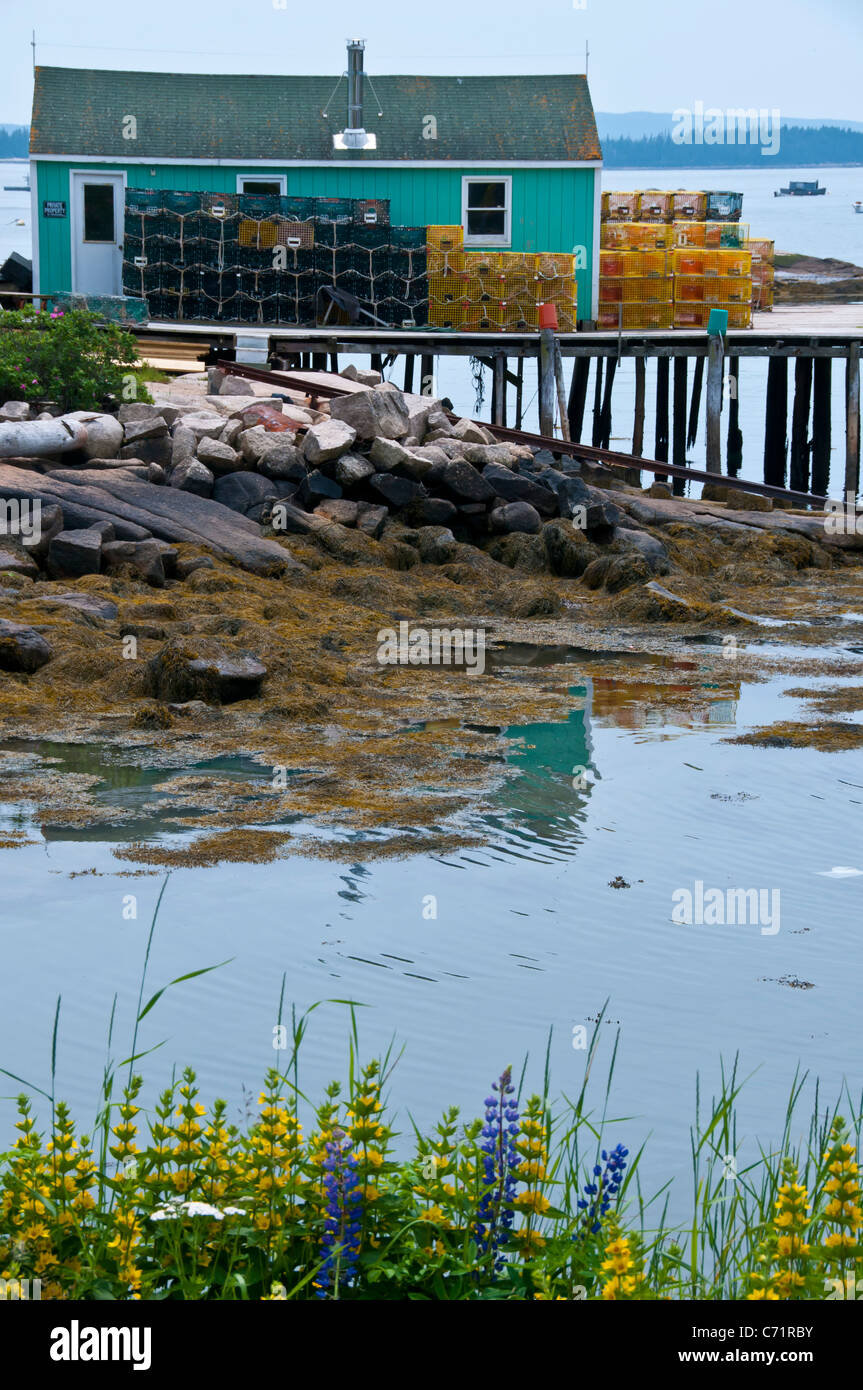 Town of Stonington coast of Maine USA Stock Photo Alamy
