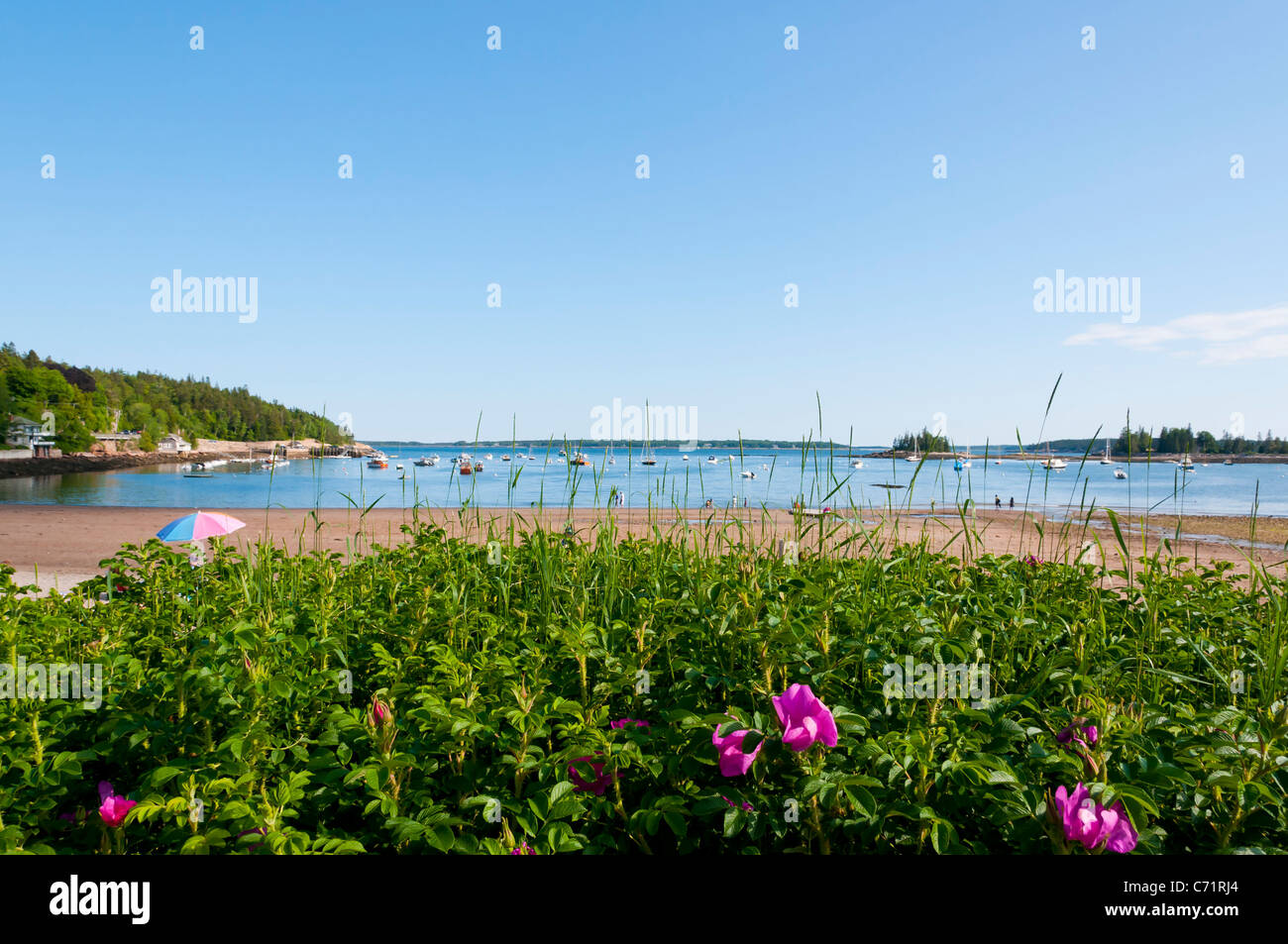 Harbor scenes of maine hires stock photography and images Alamy