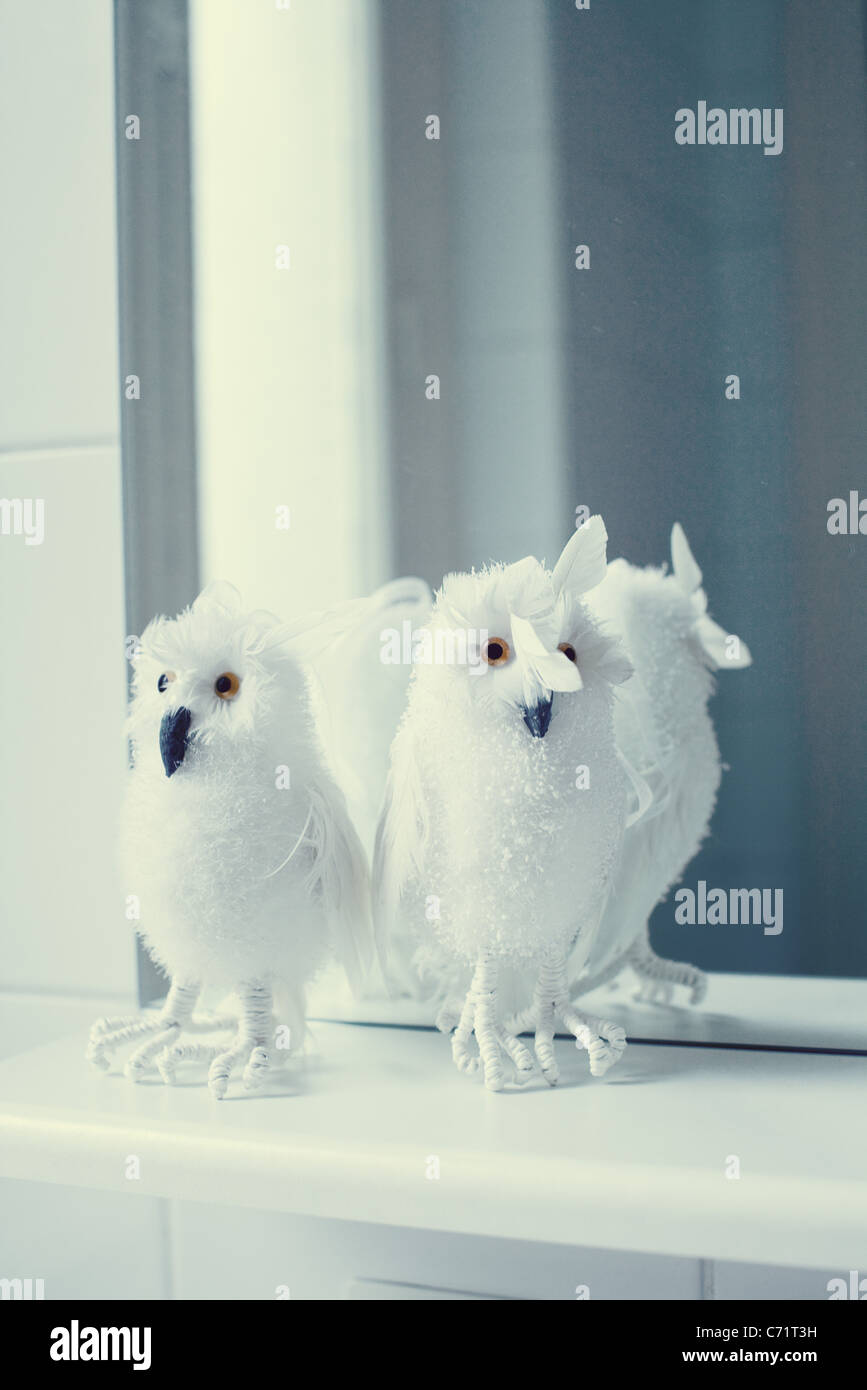 Mirror bird image hires stock photography and images Alamy