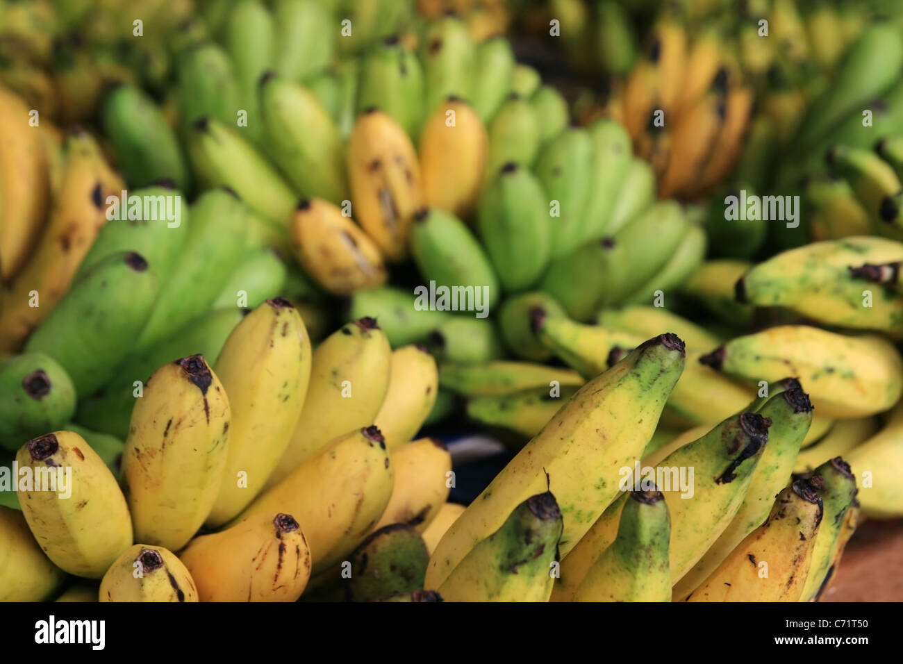 bunches of local bananas in a Thailand market Stock Photo
