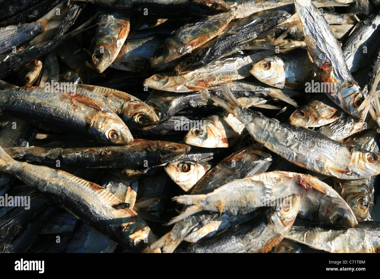 dried fish background from a market in Thailand Stock Photo