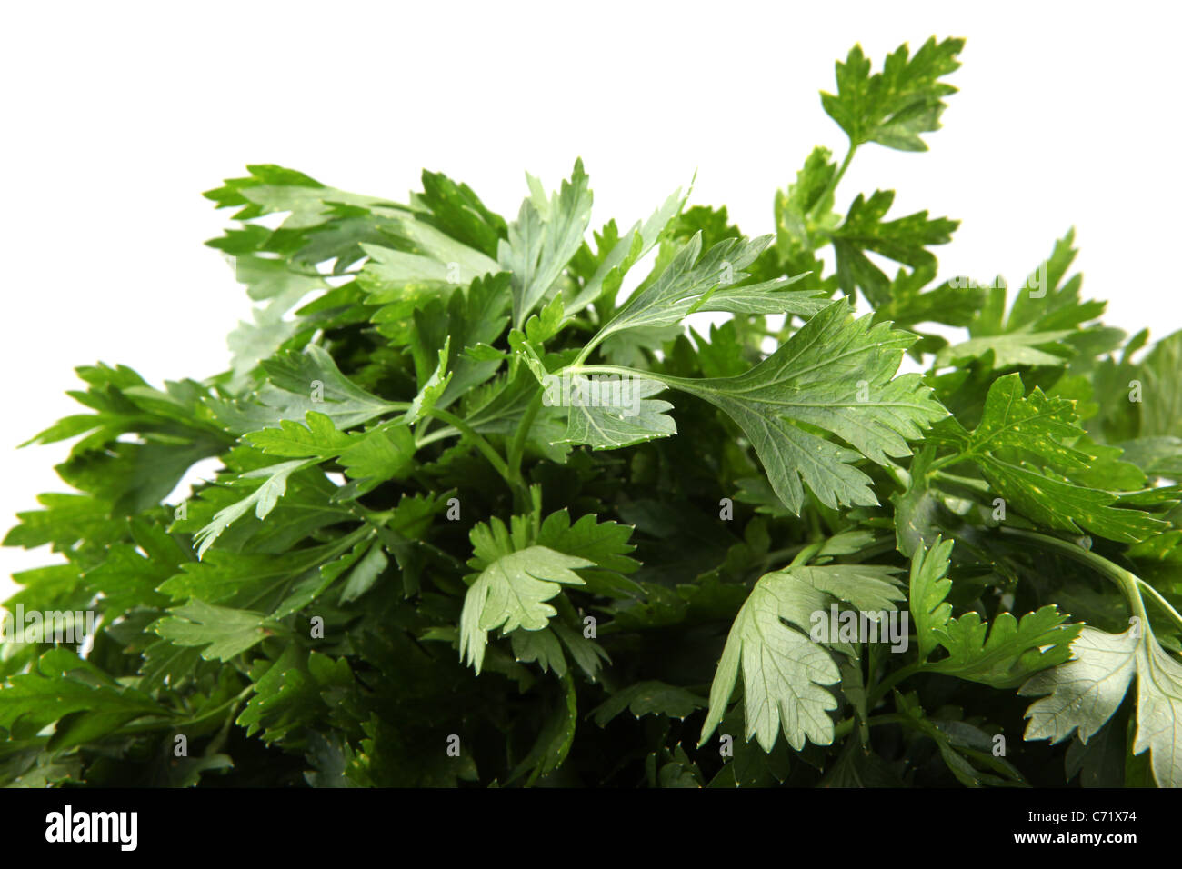 Green leaves of parsley isolated on white background Stock Photo - Alamy