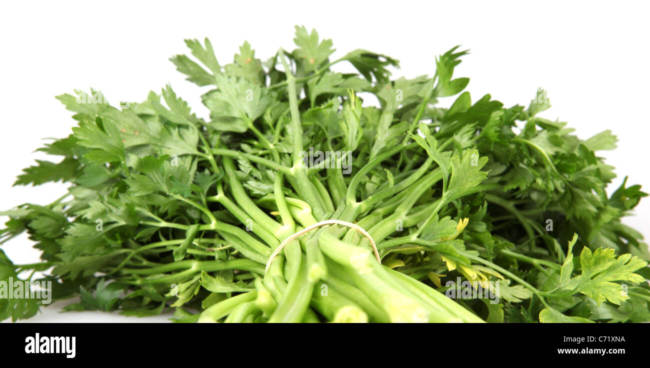 Green leaves of parsley isolated on white background Stock Photo - Alamy