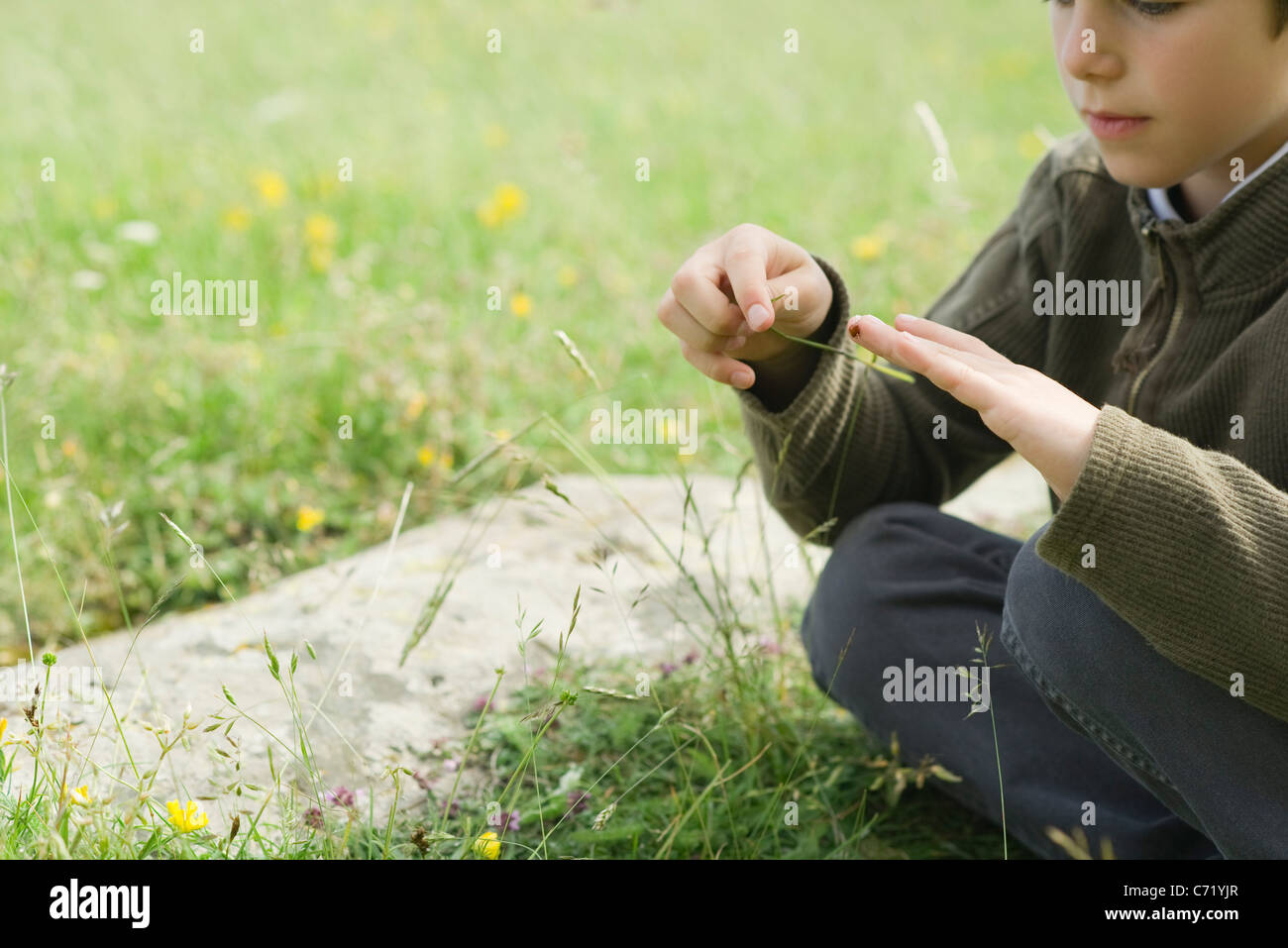 Boy sitting on grass, playing with ladybug Stock Photo