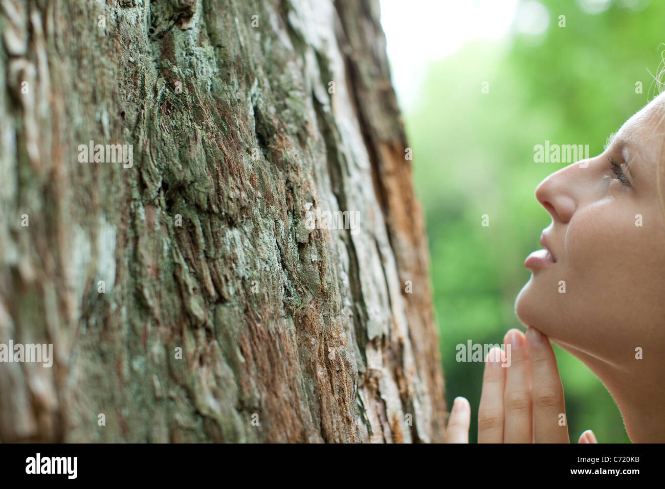 Woman admiring tree trunk, cropped Stock Photo