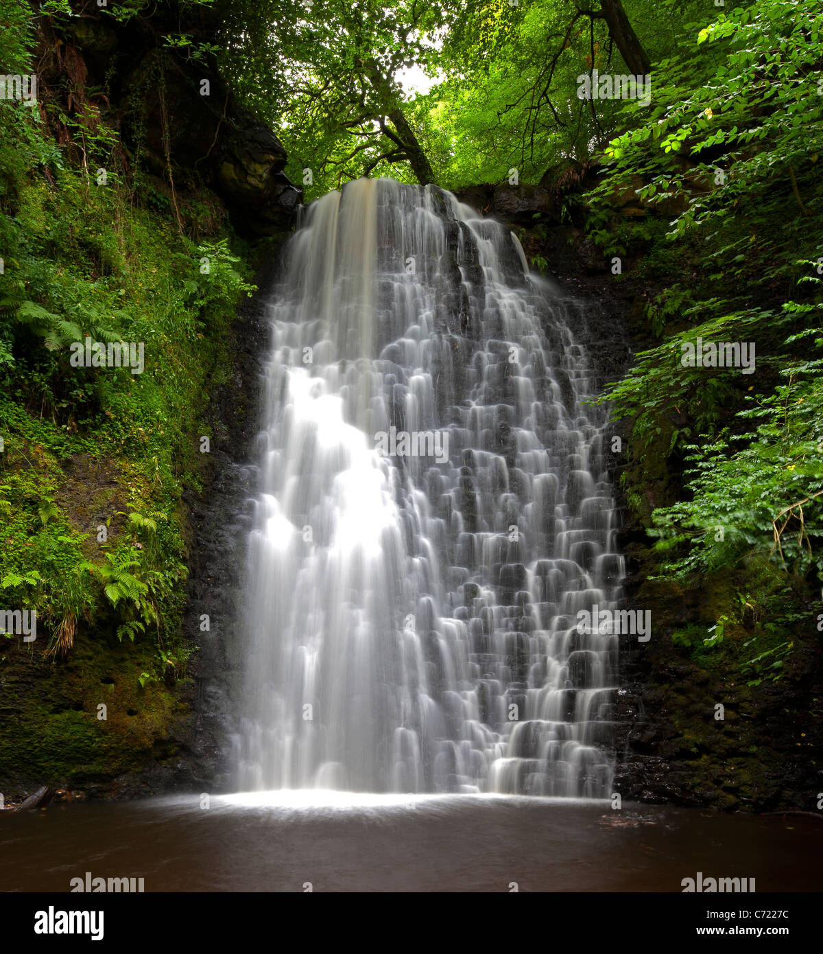 Falling Foss Waterfall, near Whitby, North Yorkshire Stock Photo