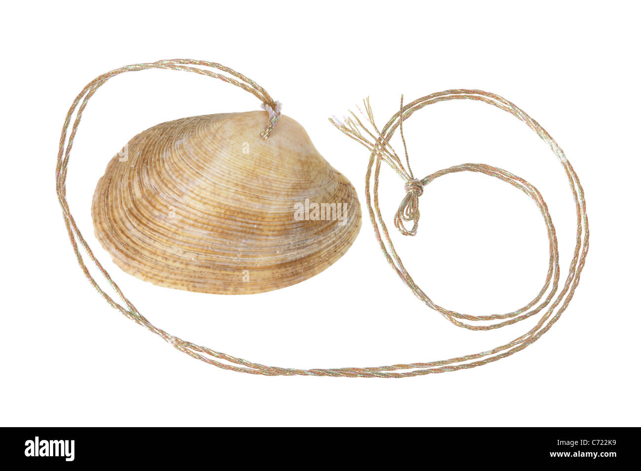 Seashell Pendant Stock Photo