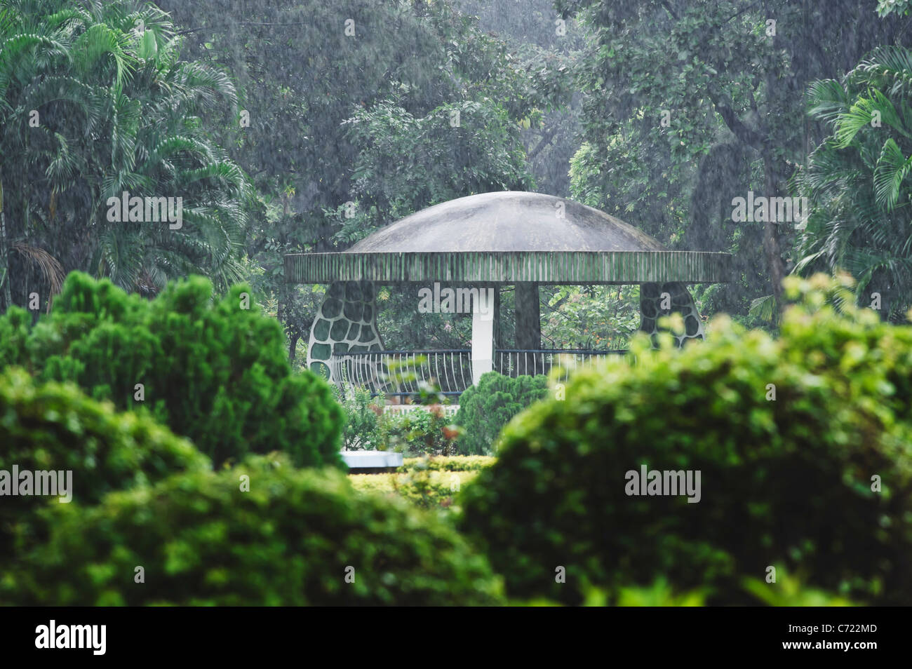 monsoon rains . Stock Photo