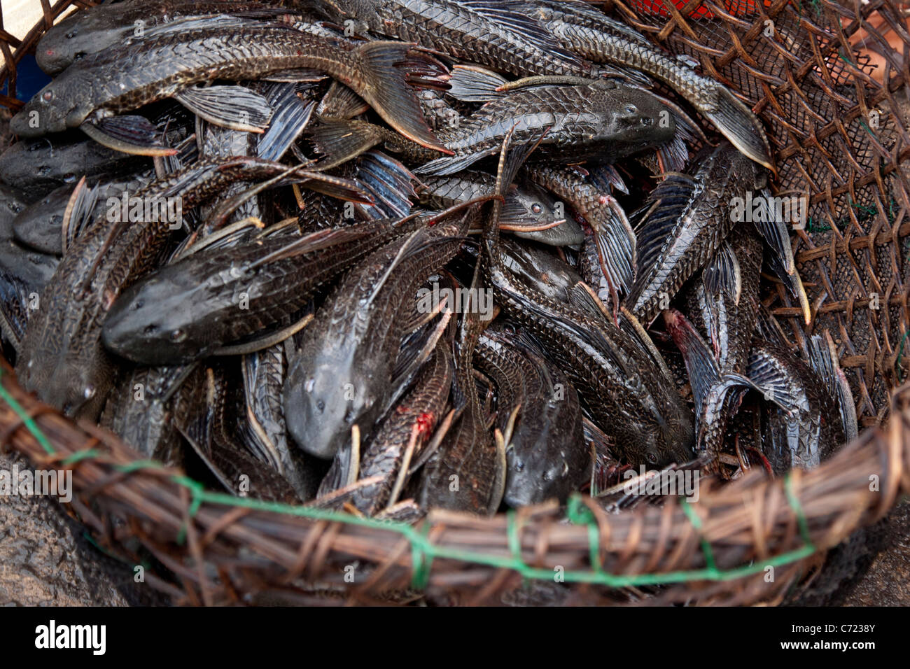 Belen Market in Iquitos, Peru Stock Photo