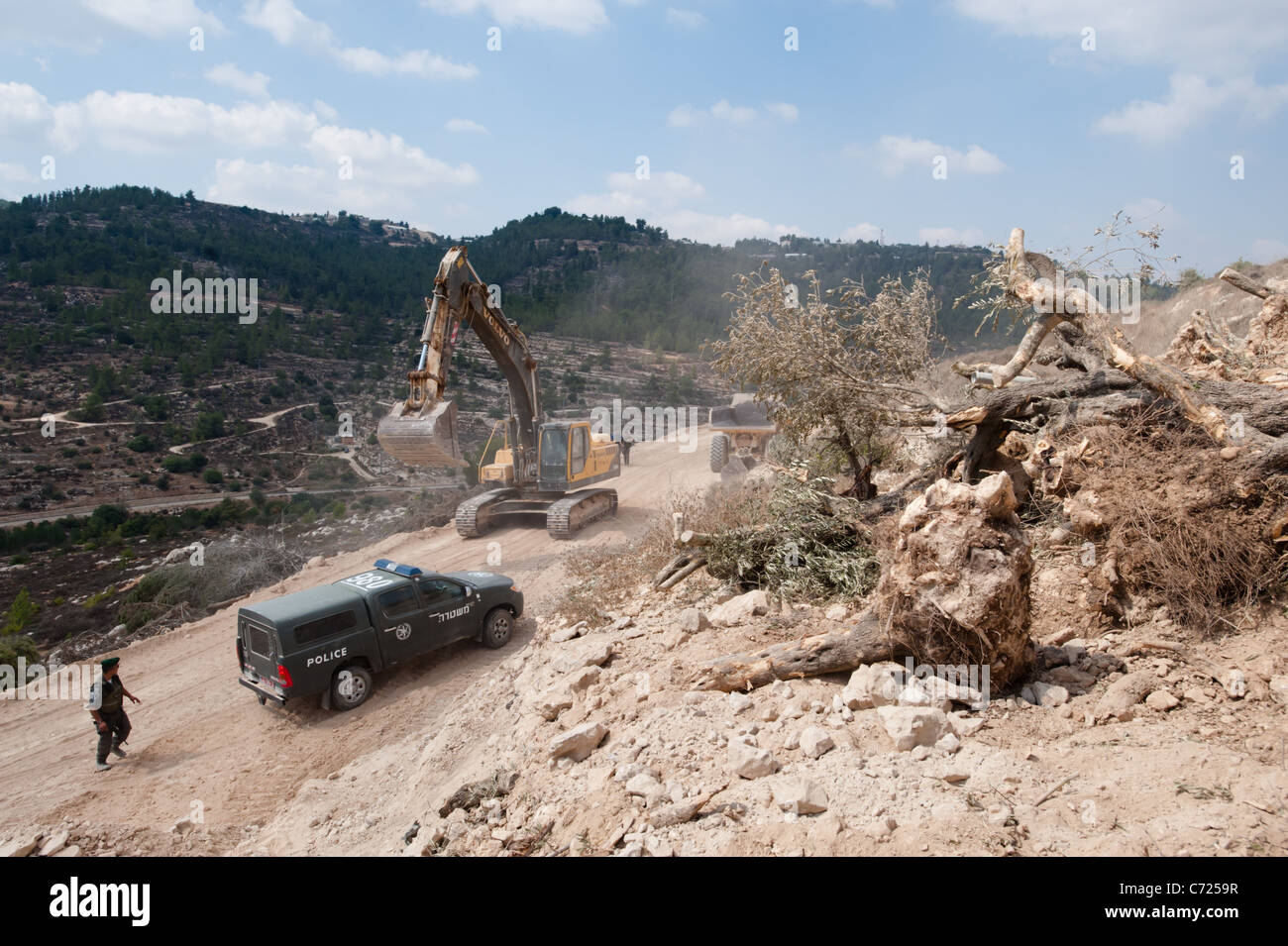 Israeli soldiers guard equipment building the Israeli separation barrier near a pile of uprooted olive trees in Al-Walaja. Stock Photo