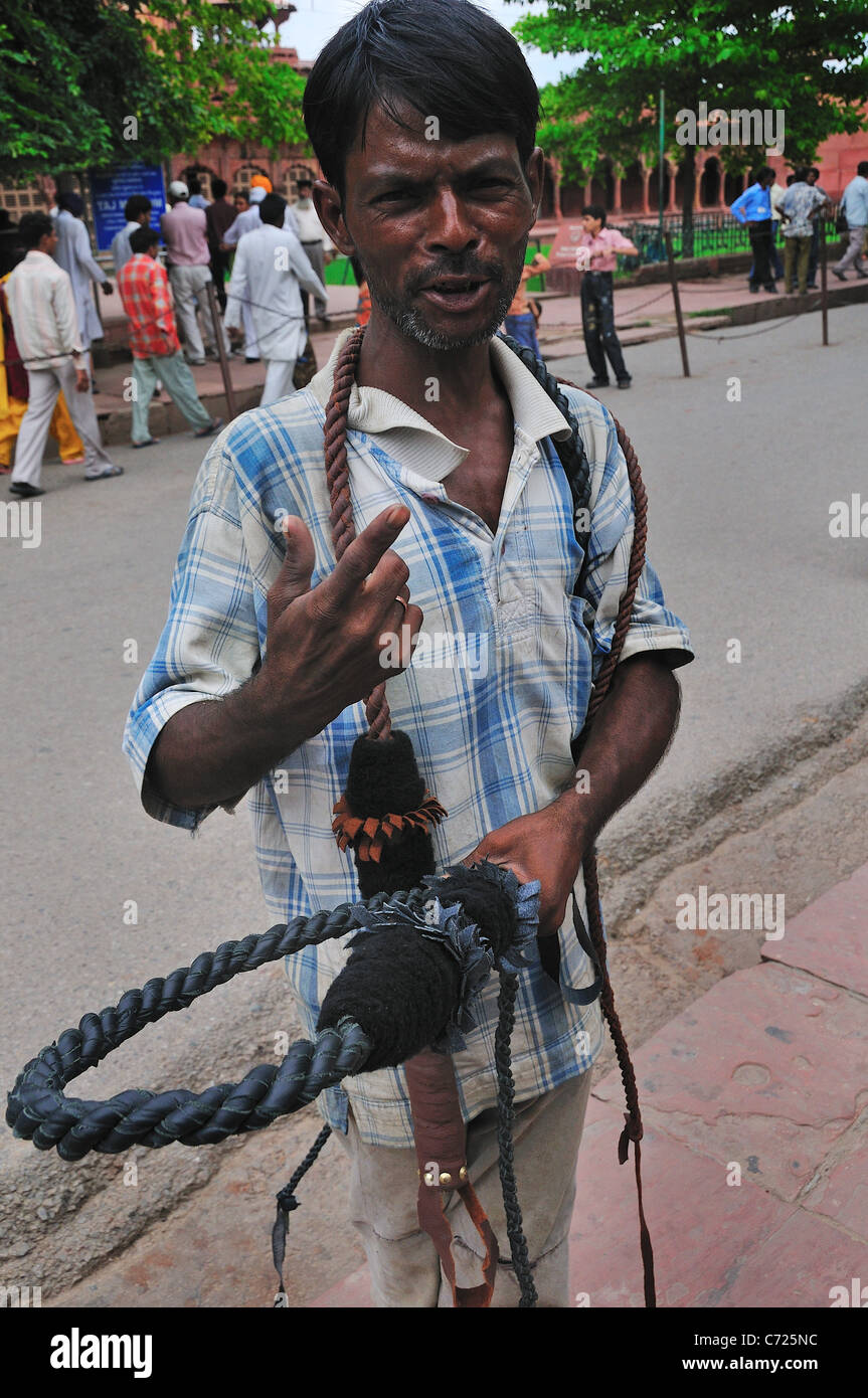 Whips hi-res stock photography and images - Alamy
