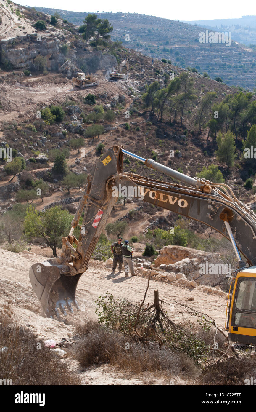 Equipment works near a pile of olive  trees cut down to make way for the Israeli separation barrier surrounding Al-Walaja. Stock Photo