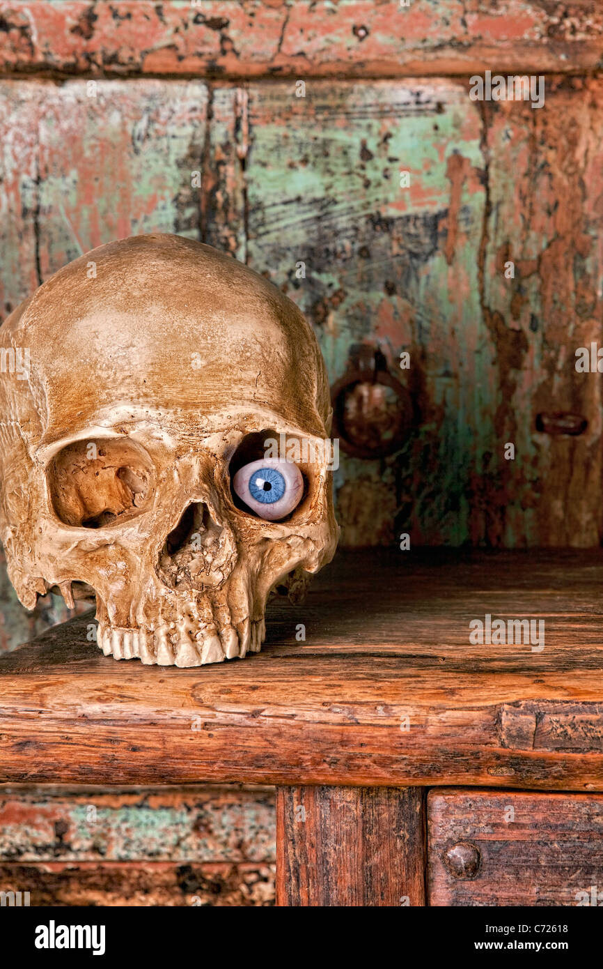 Glass eyeballs hi-res stock photography and images - Alamy