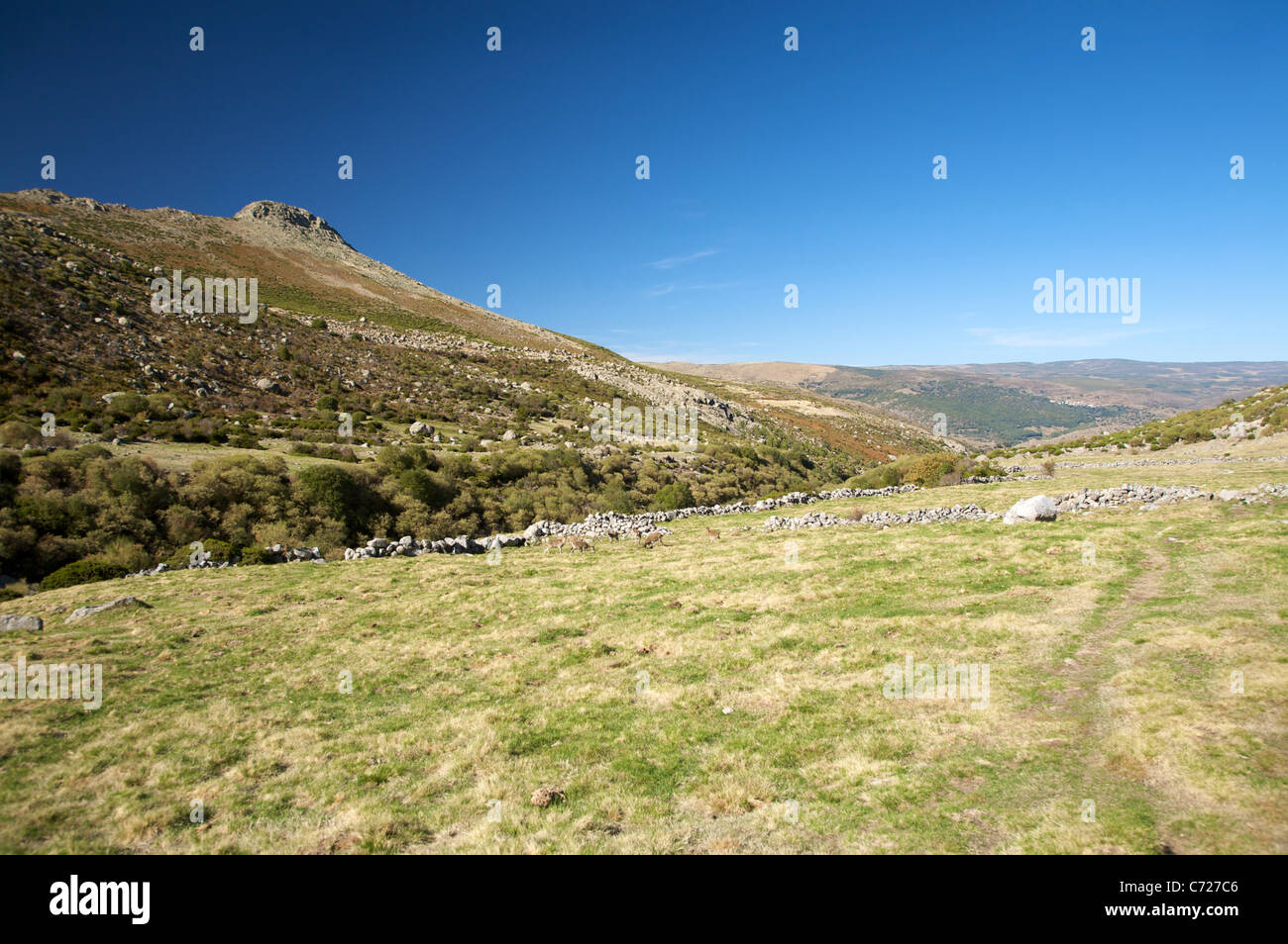 mountains at gredos natural park in avila spain Stock Photo - Alamy