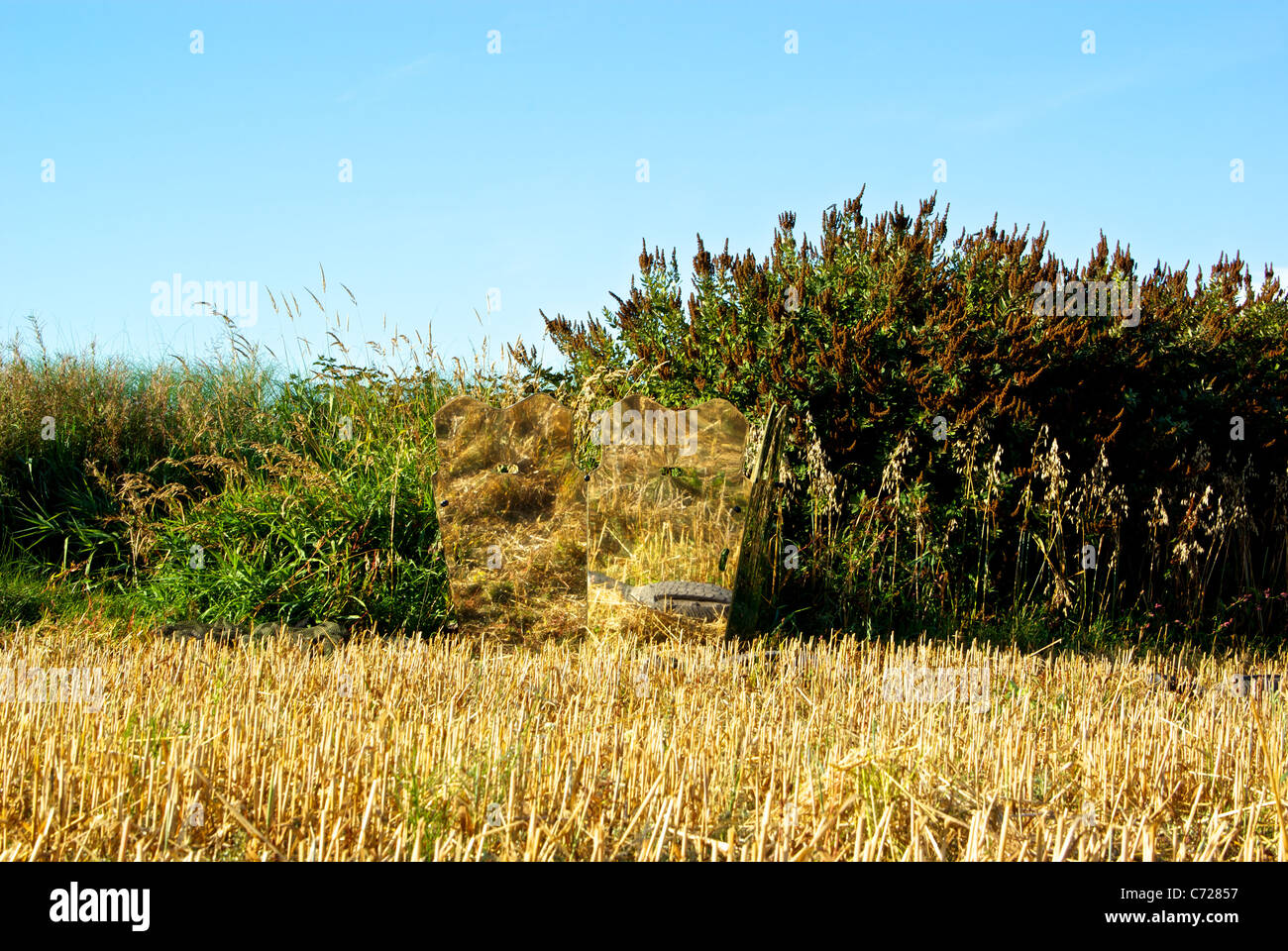 Goose hunting blurring reflection mylar mirror blind blends into field of harvested oats stubble field Stock Photo