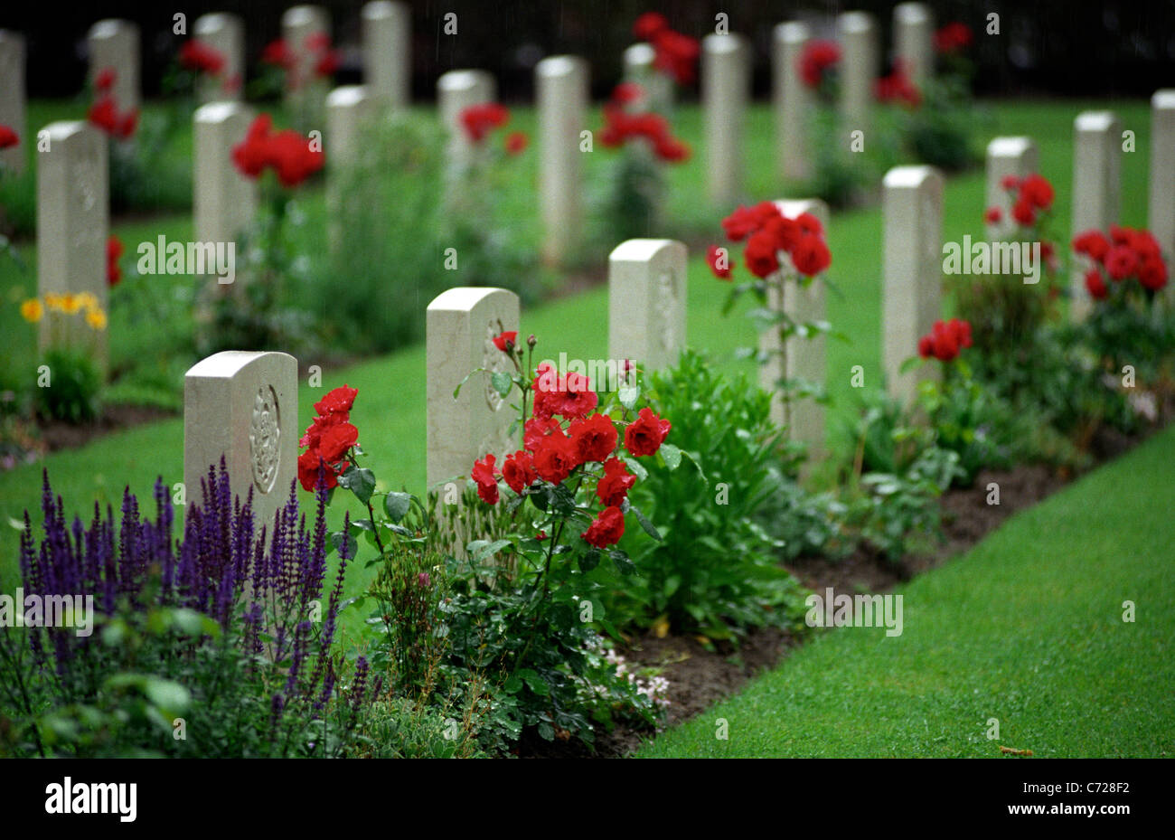 Forli Cemetery, Italy. Maintained by the Commonwealth war Graves Commission,CWGC. Stock Photo