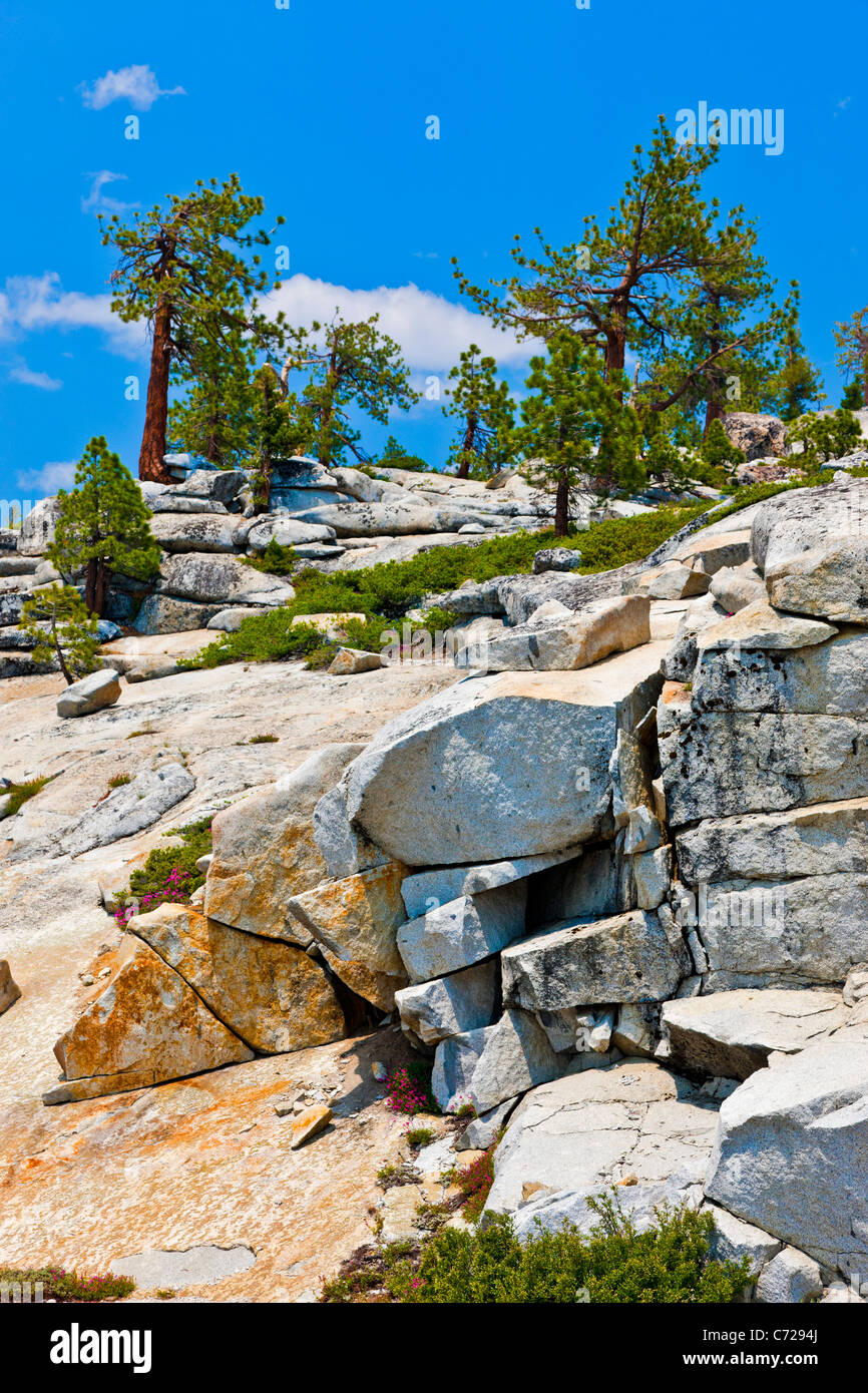 Glaciated mountainside alongside Tioga Road, Yosemite National Park, USA. JMH5274 Stock Photo