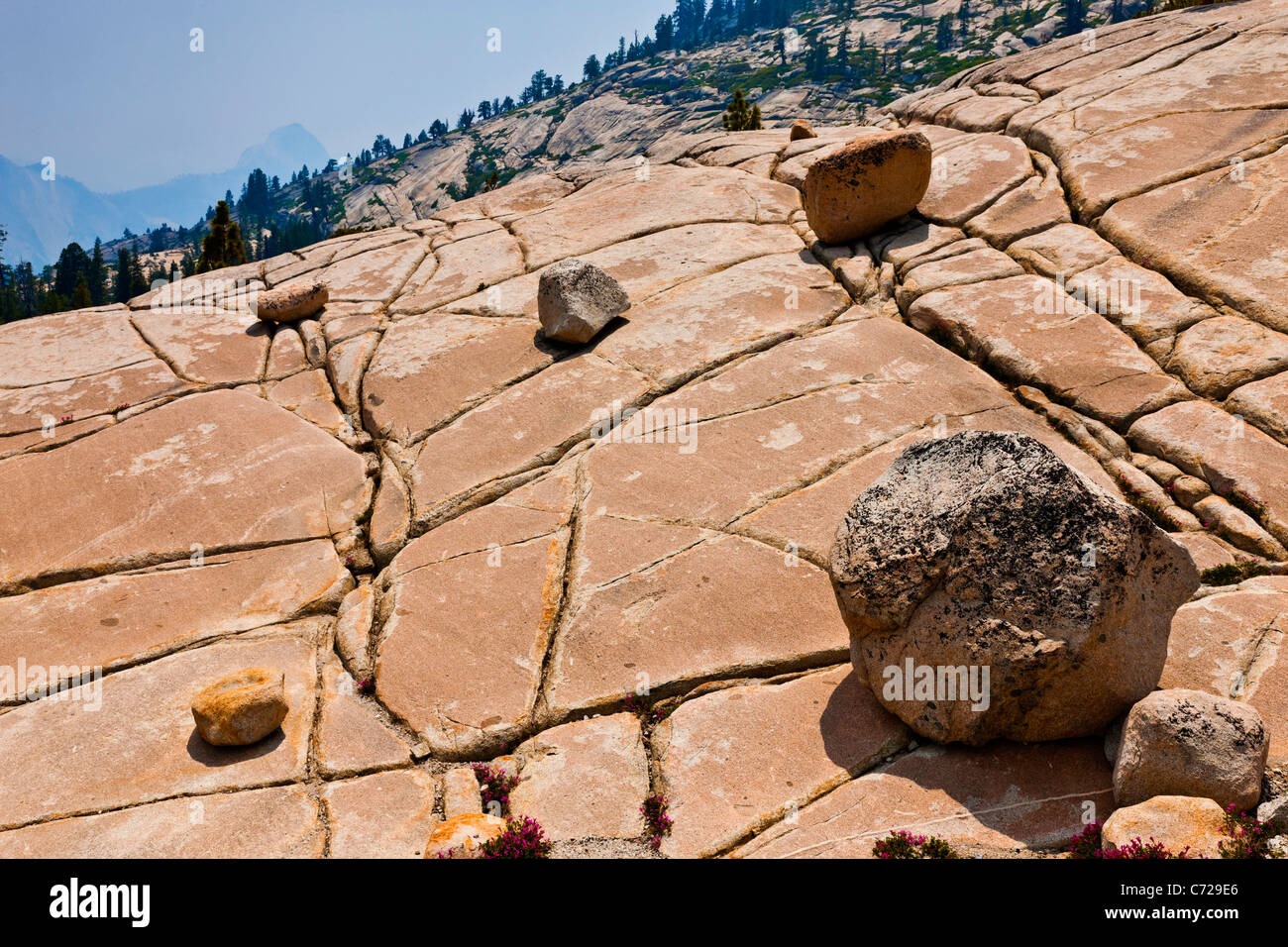 Glaciated mountainside with boulders and grykes, with Half Dome in the distance. Tioga Road, Yosemite National Park. JMH5286 Stock Photo