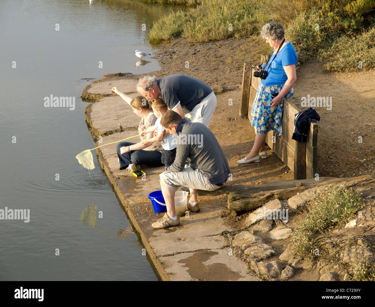 A family fishing for crabs in Thornham Creek Norfolk UK Stock Photo