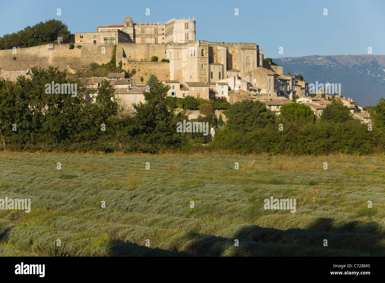 The medieval village Grignan with a non flowering lavender field and