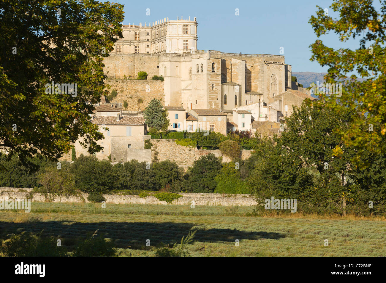 The medieval village Grignan with a non flowering lavender field and