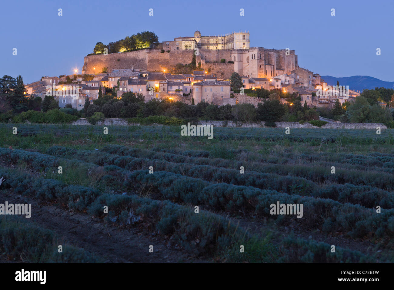 The medieval village Grignan with a non flowering lavender field and