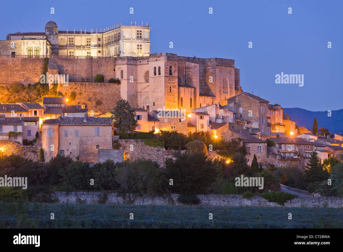 The medieval village Grignan with a non flowering lavender field and