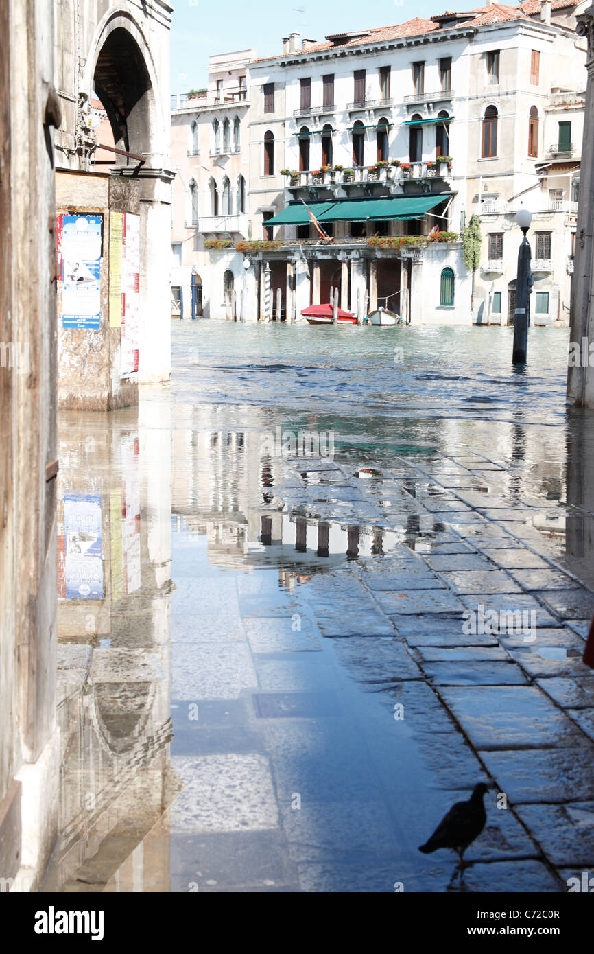 Venice high water hi-res stock photography and images - Alamy