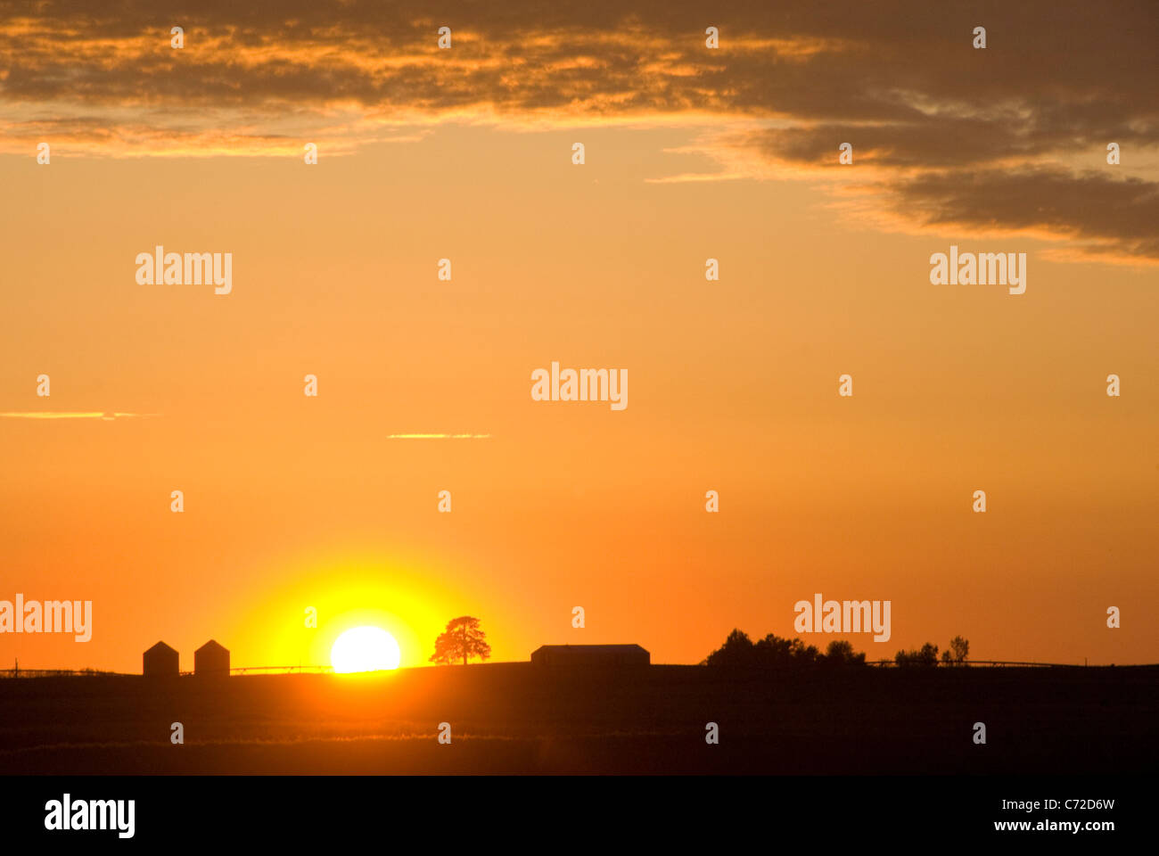 Farm buildings on prairie, near Champaign Urbana, Illinois, USA Stock