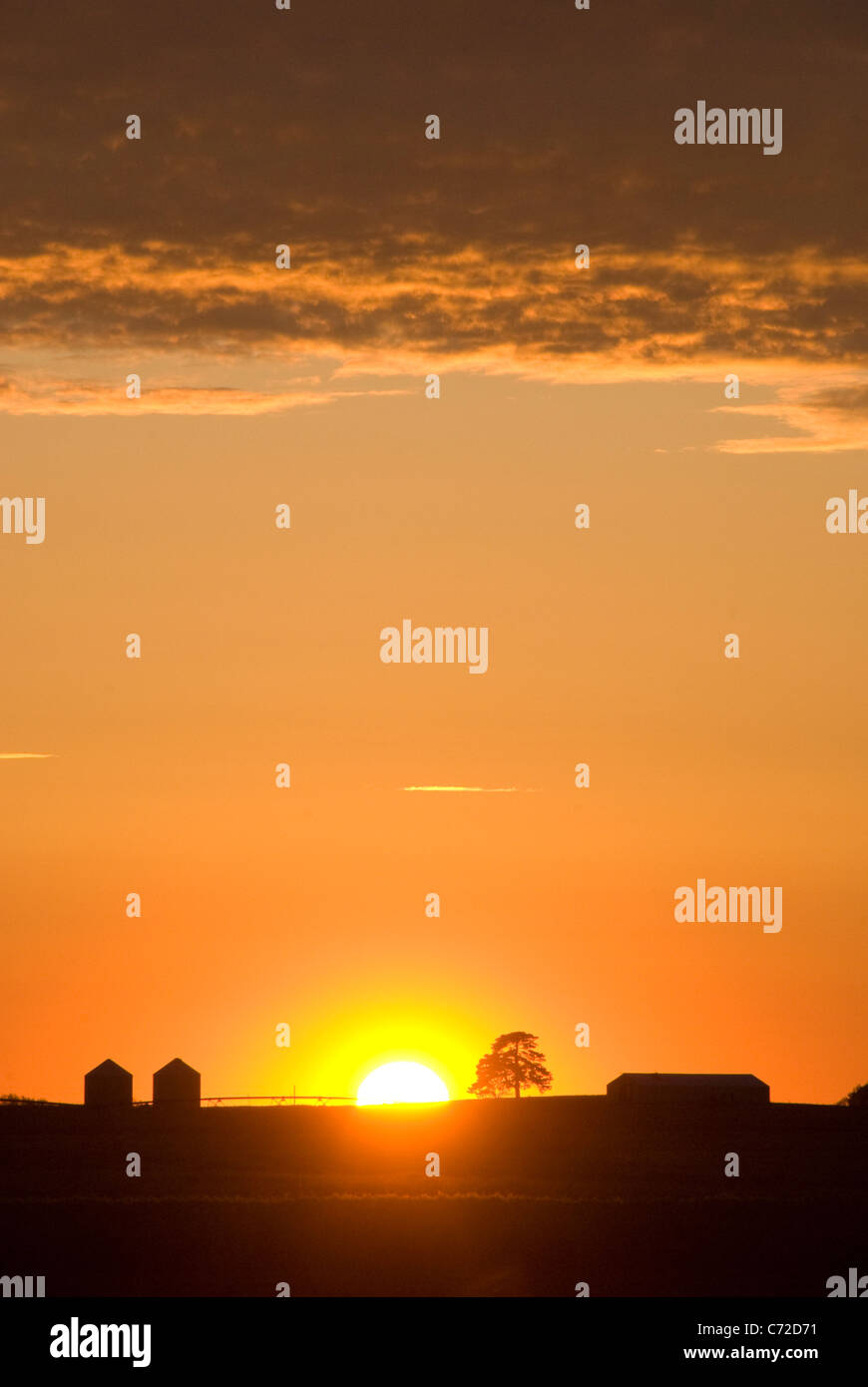 Farm buildings on prairie, near Champaign Urbana, Illinois, USA Stock