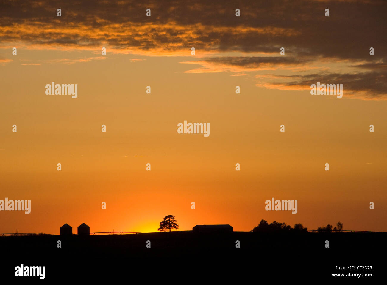 Farm buildings on prairie, near Champaign Urbana, Illinois, USA Stock