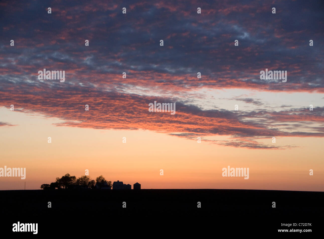Farm buildings on prairie, near Champaign Urbana, Illinois, USA Stock