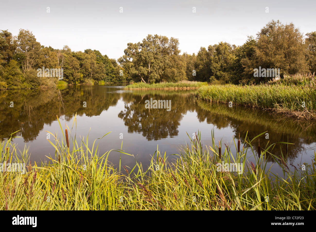 Pensthorpe nature reserve hires stock photography and images Alamy