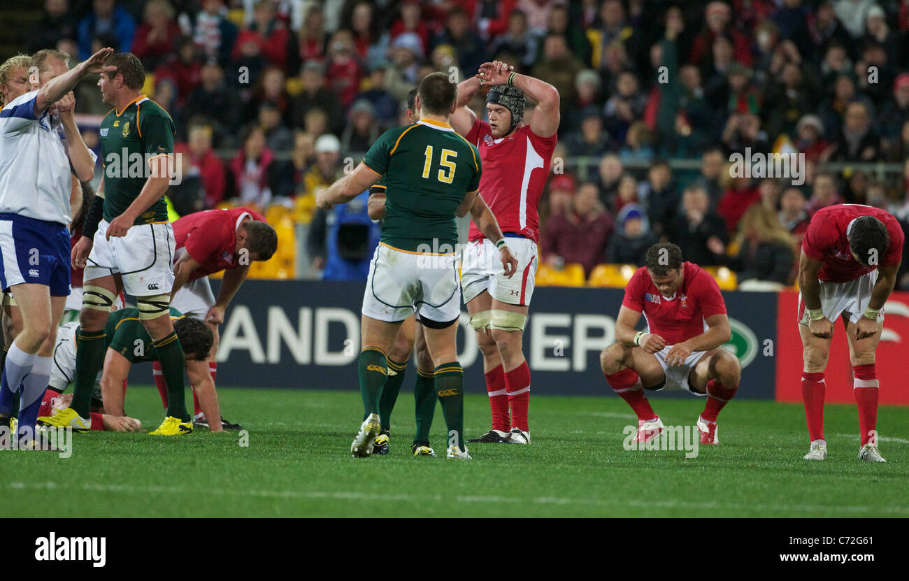 Heartbreak for Wales as the final whistle sounds giving South Africa a 17-16 victory during the Wales V South Africa, Pool D Stock Photo