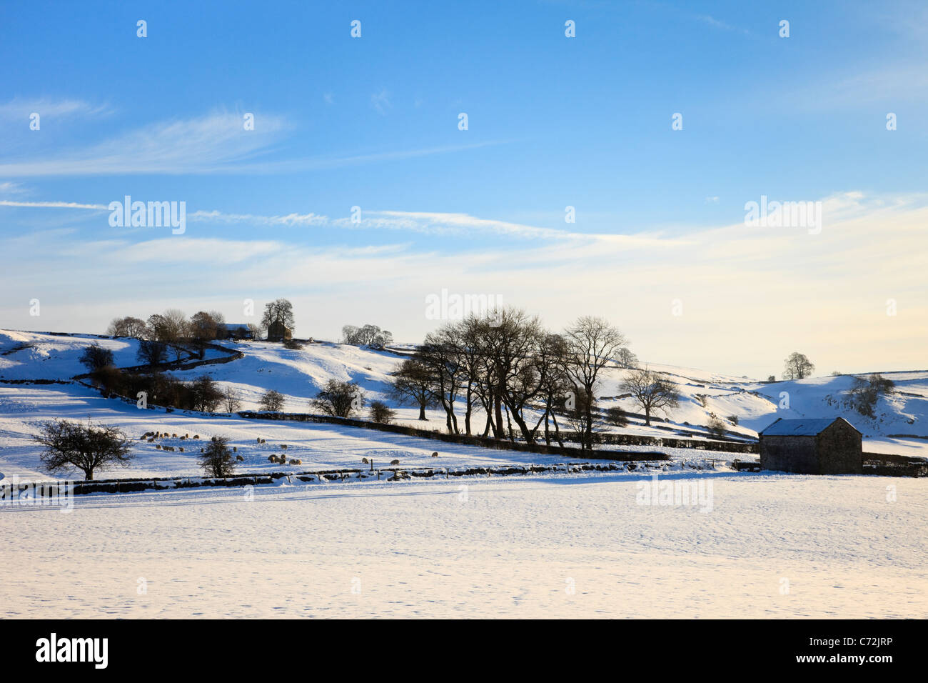 Hartington Derbyshire England UK Country snow scene with barn and sheep in fields in the Peak District National Park in winter Stock Photo