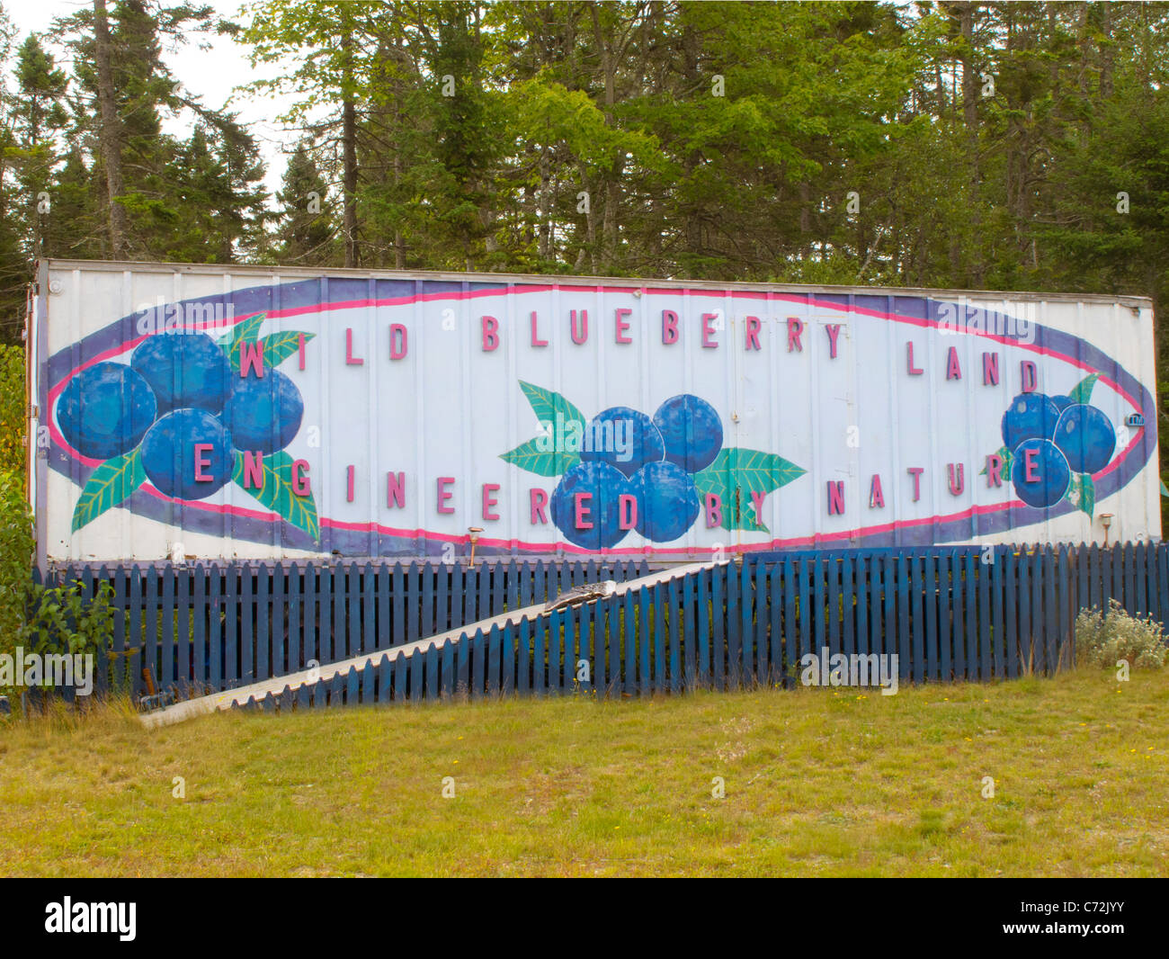 Wild blueberry land hi-res stock photography and images - Alamy