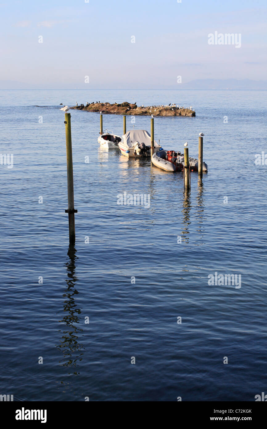 Moored boats and mooring poles looking out into the Forth estuary Lower