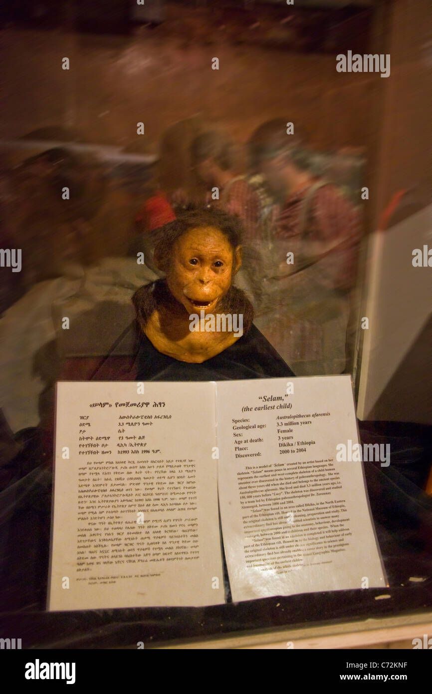 Lucy, National Archaeological Museum, Addis Ababa, Ethiopia Stock Photo