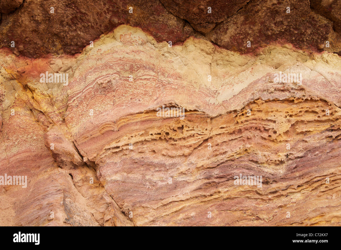 The sedimentary strata of the Wealden Beds, revealed in the Lower