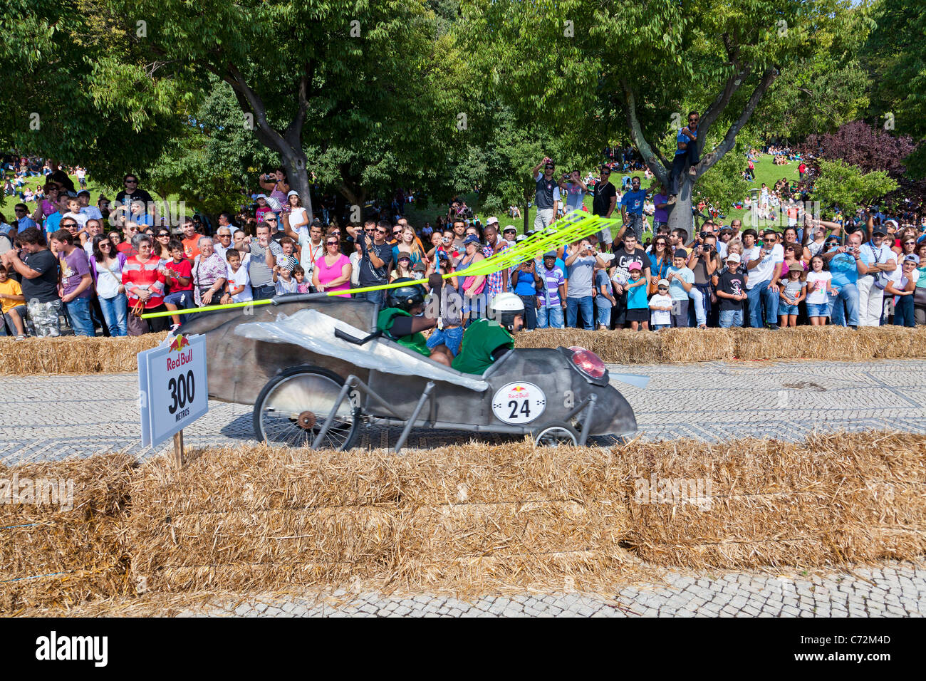 The Bug Race