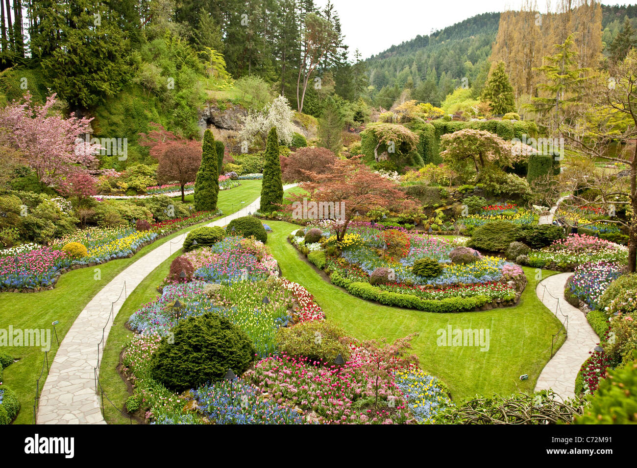 Sunken Garden. Spring at Butchart Gardens. Victoria, BC, Canada Stock Photo