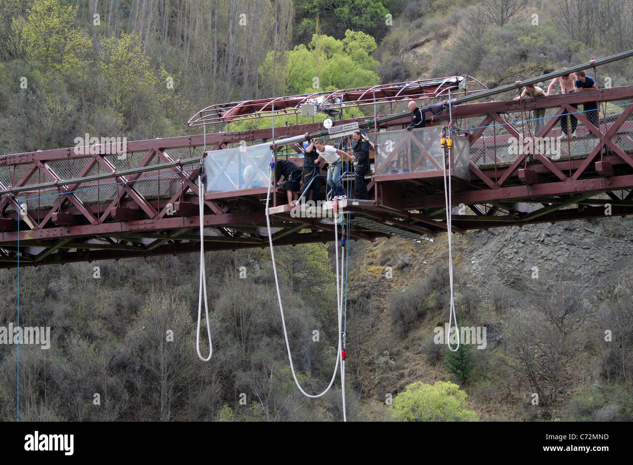 Man about to bungee jump from the Hackett Kawarau Bridge in New Zealand ...