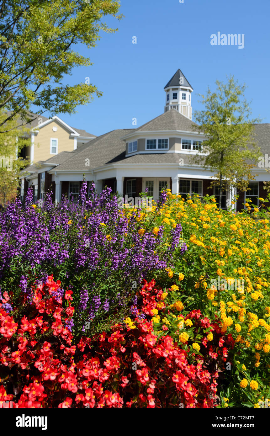 Summer flowers in the neighborhood Stock Photo Alamy