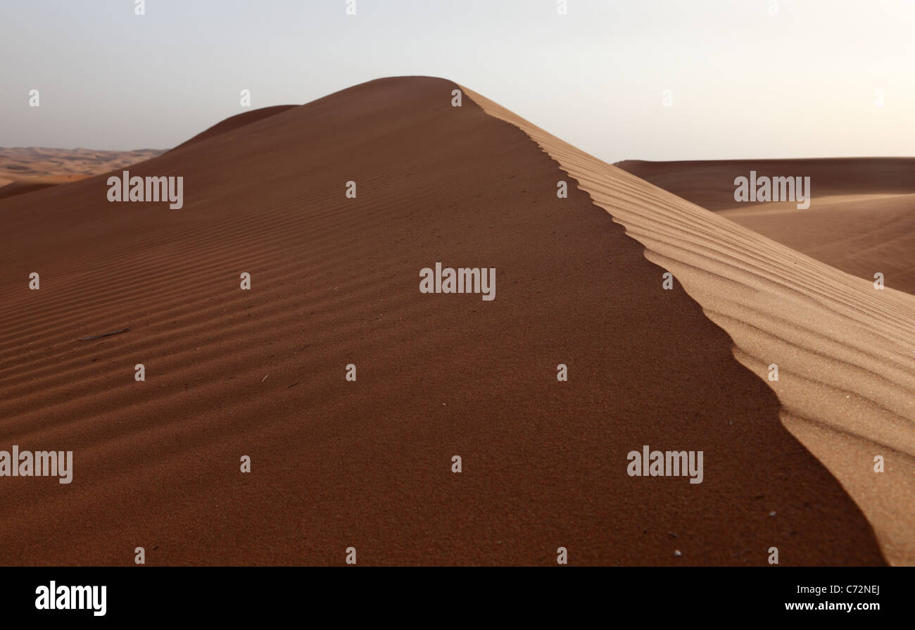 Dunes in the desert near Dubai, United Arab Emirates Stock Photo