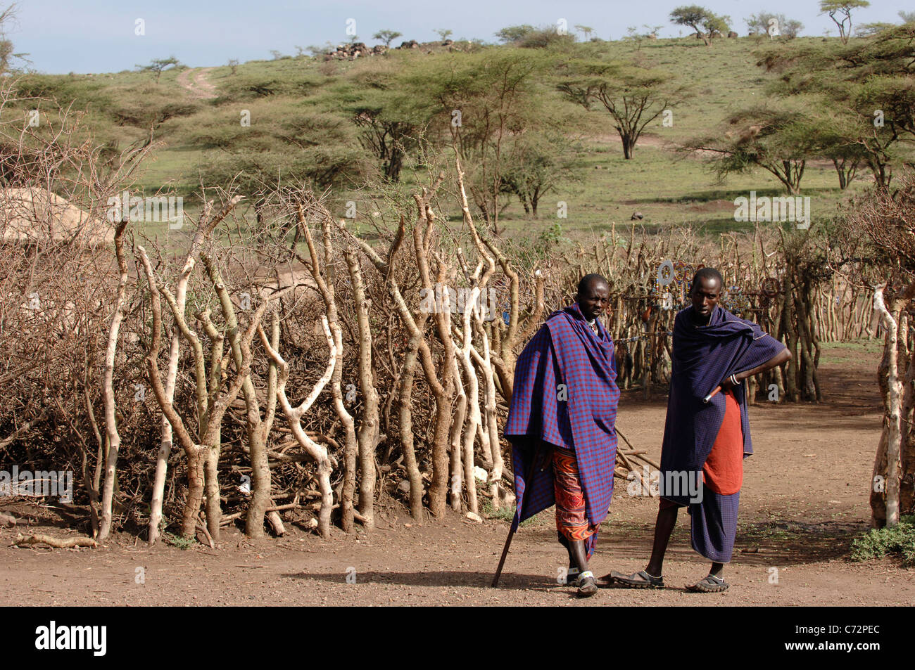 Africa. Tanzania. On March, 5th 2009 . Maasai village. A double portrait maasai men. Savanna. Stock Photo
