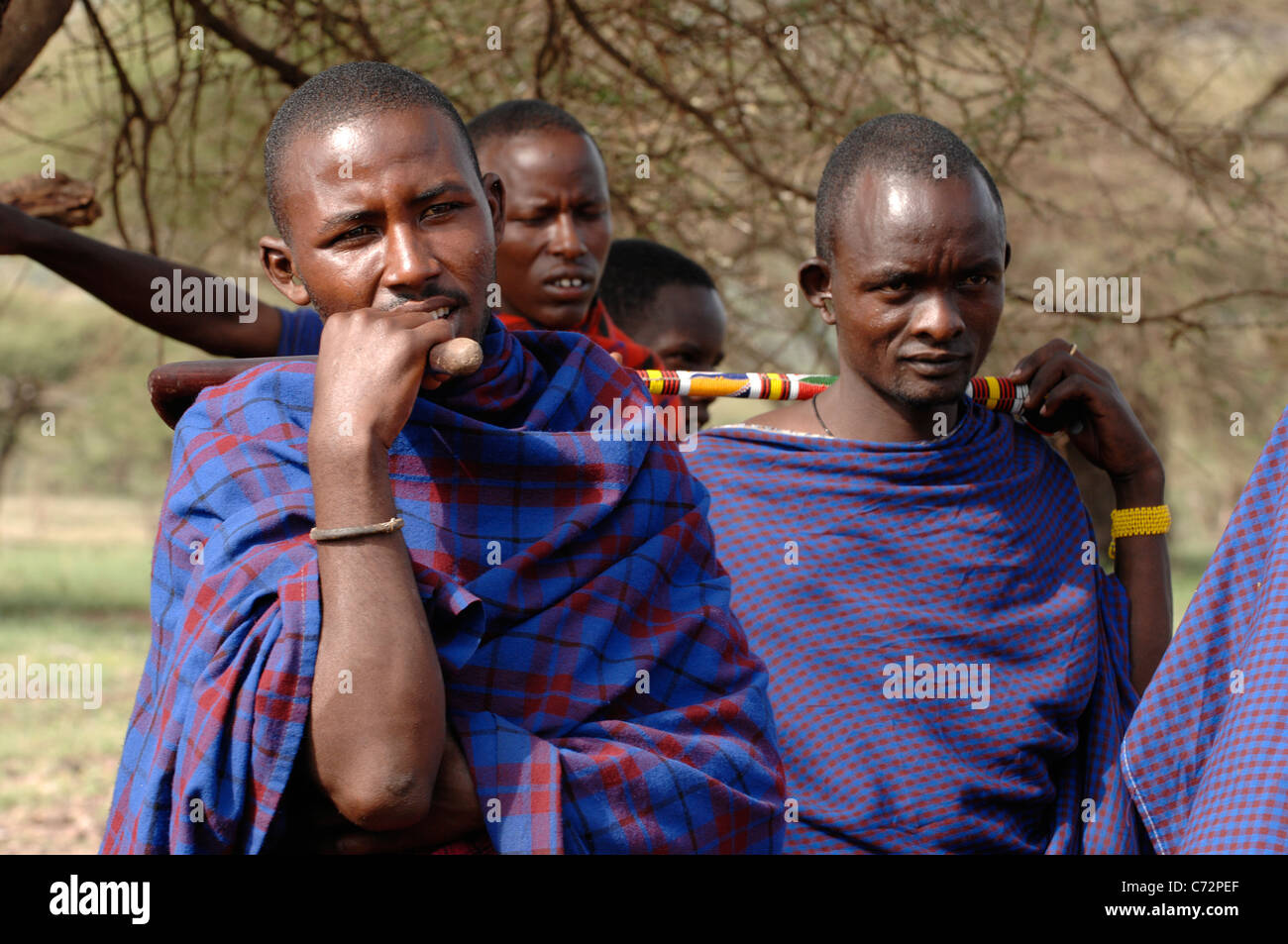 Africa. Tanzania. On March, 5th 2009 . Maasai village. A group portrait maasai men. Savanna. Stock Photo